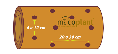 0832c0c2adc17226bd021485d3556c016ed61f1b.jpg