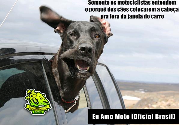 af6f73f95711fd9fc3755cb021f5b77d399ff178